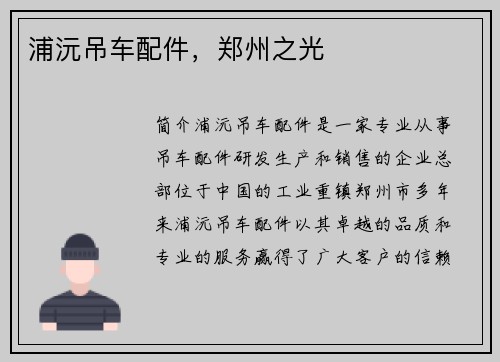 浦沅吊车配件，郑州之光